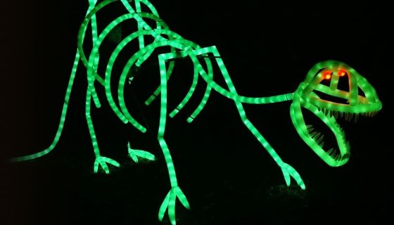 Представление световых кукол. Театр Николая Зыкова (Москва), Вилючинск