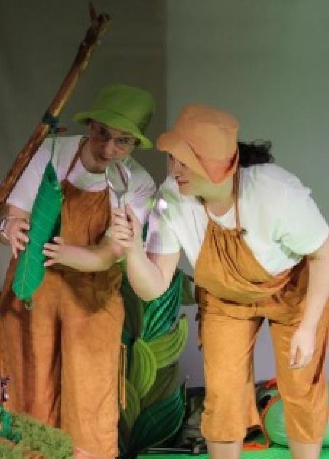 Где бабочка?